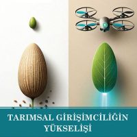 Kitaplar